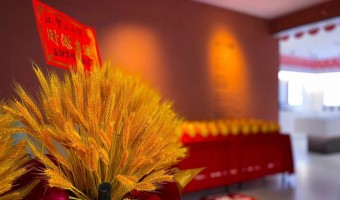 合作展厅-西铁91吃瓜网(中山)有限公司-1