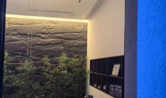 合作展厅-西铁91吃瓜网(中山)有限公司-1