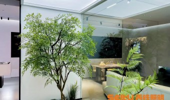 合作展厅-西铁91吃瓜网(中山)有限公司-1