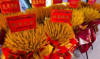 合作展厅-西铁91吃瓜网(中山)有限公司-1