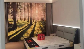 合作展厅-西铁91吃瓜网(中山)有限公司-1